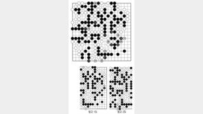  [바둑]제56기 국수전… 보이지 않는 묘수 214