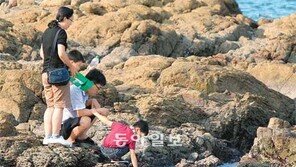 [부산/경남]“조개가 어디 있을까”