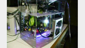 컴퓨터가 뜨거운가요? 이제 오일에 담그세요!