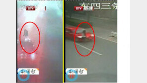 무단횡단에 통화까지…무개념女 끔찍한 사고