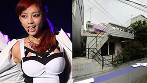 구하라 청담동 11억 주택 실제로 보니…‘의외’