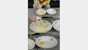 1초 노른자 분리 “페트병, 뜨거운 물만 있으면 OK”