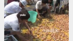 쏟아진 6천개 계란, 트럭 주인 ‘발 동동하는 사이…’