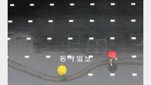 [포토 에세이]빨간 우산, 노란 우산… 동요가 입가에 ‘맴맴’