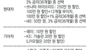 36개월 무이자… 귀향비 300만원 지원… 디카 사은품… 이래도 자동차 안사실래요?