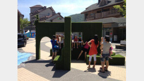 알펜시아 ‘힐링 체험거리’ 인기