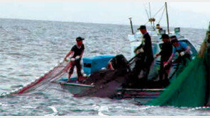 [TV 하이라이트]밤낮없이 전어 잡는 어부들