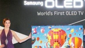 삼성 OLED TV 2대 獨운송중 분실