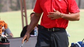 ‘타이거 우즈’ 포함… 美 라이더컵 선수 명단 발표