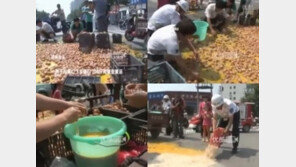 [영상] 쏟아진 6천 개 계란 ‘경악’, “주민들 몰려와 몰래 주워가기도…”