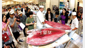 ‘참치 해체 쇼’ 신기하네