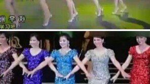 北에도 한류열풍…북한판 ‘소녀시대’ 中 인터넷서 인기