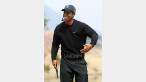 美 대표팀, 우즈 등 ‘라이더컵’ 12명 확정