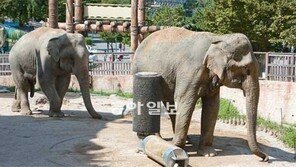 “아이고 시원해”