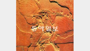 과학계 ‘진화론 교과서 삭제’ 반대