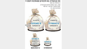 대선 더 깜깜하게 하는 돈의 정치학