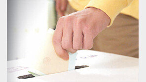 공약은 겉핥기… 후보도 안갯속… 깜깜이 대선