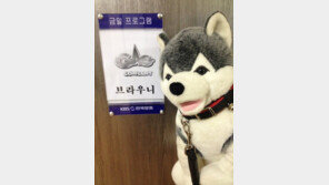 브라우니 특급 대우, 방송 안 할 때도 빵 터트려… “연예인병 걸릴만해”