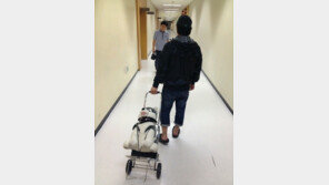 브라우니 특급 대우? “출근길 끌려가… 동물 학대 아닌가?” 폭소