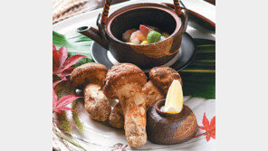 [Dining]송이가 해물을 만났을 때