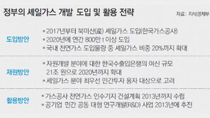 셰일가스, 2020년 年 800만t 이상 도입