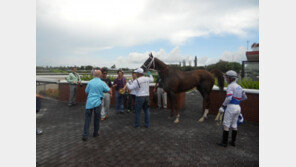 ‘필소굿’, “한국경마 첫 해외 우승마 등극”