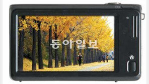 [O2]창밖을 보세요 9월이 익어가요… 디카 손에 들고 가을 속으로 떠나요