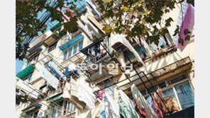 [O2]줌 삼가고, 두손으로, 다양한 높이서 찍어요