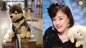 브라우니 소개팅 제안 ‘폭소’… “고양이와 강아지의 열애?”