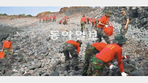 [제주]태풍 지난뒤 새단장… ‘올레’로 올래?