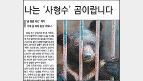 제주 선언이 ‘1000마리 사육곰’ 살릴까