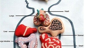 ‘공포의 마카롱’ 누가 만들었나 했더니… “이런 걸 왜?”