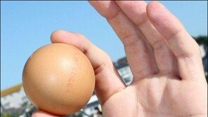 동그란 달걀 발견, 10억분의 1 확률로 발생, “가치로 따지면?”