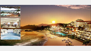 대명콘도 1000만원대 회원권 특별모집!