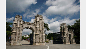 고려대(세종) 수시, 상위권 수험생 소신지원 ‘뚜렷’