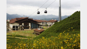 하이원 콘도 “롯데마트서 파격가로 쏜다”