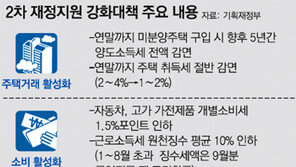 [정부 내수 활성화 대책]2465만 원짜리 쏘나타 세금 48만원 줄어