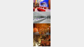 최고의 공중 화장실, 고급스러운 인테리어와 깔끔함! “볼일 보기 미안해”