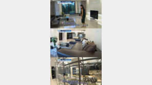 전광렬, 모델하우스 연상 집 공개 ‘입이 쩍’