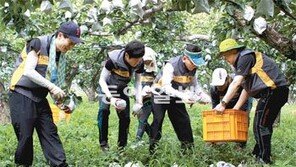 [Money&Life]중금리 대출·프리워크아웃 제도 등 서민금융 지원에 앞장