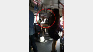 버스패륜남 사건, 버스기사 증언 “알려진 내용과 달라”