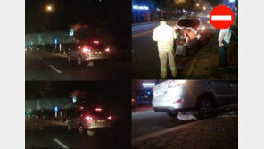 충격! 차에 발 끼어 끌려 다닌 진돗개 이유가…