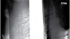 부산영화제, 75개국 304편 초청 규모 확대