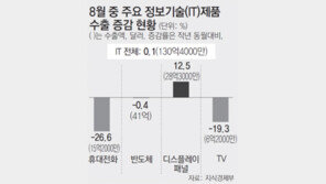 수출 효자품목 IT가 심상찮네