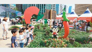 [대구/경북]영양고추 매운맛 ‘HOT’ 페스티벌