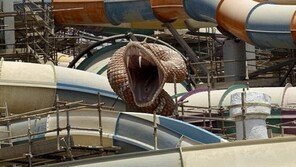 아부다비에 생길 사막의 워터파크… “뱀 슬라이드 타보고 싶다”