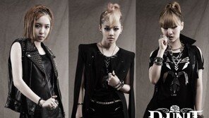 디유닛 이미지 담긴 의류, 미국-일본 시판