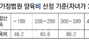 “月800만원 버는 남편, 이혼뒤 양육비는 月100만원”