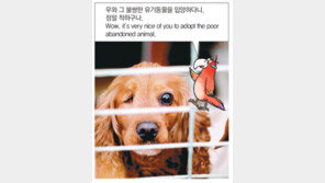 [신문과 놀자!/동아일보 기사로 배우는 영어 한마디]9월 13일 