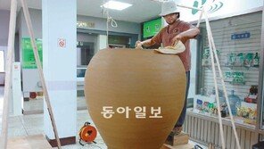 [충북]높이 2m 너비 1m 괴산군청 초대형 옹기